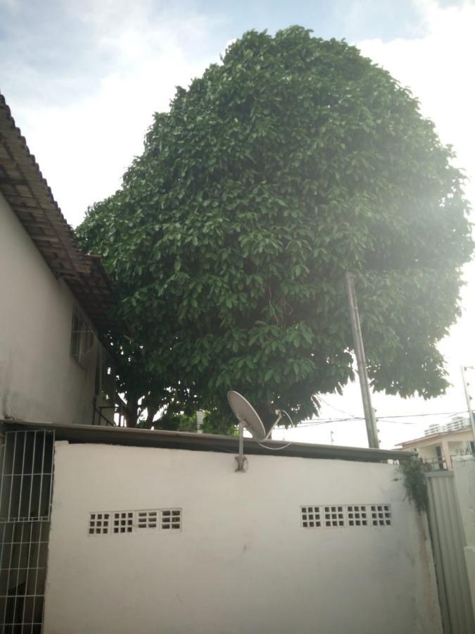 Casa, 4 quartos, 115 m² - Foto 22