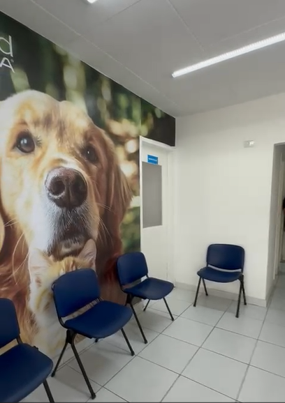 Prédio Inteiro para alugar, 290m² - Foto 18