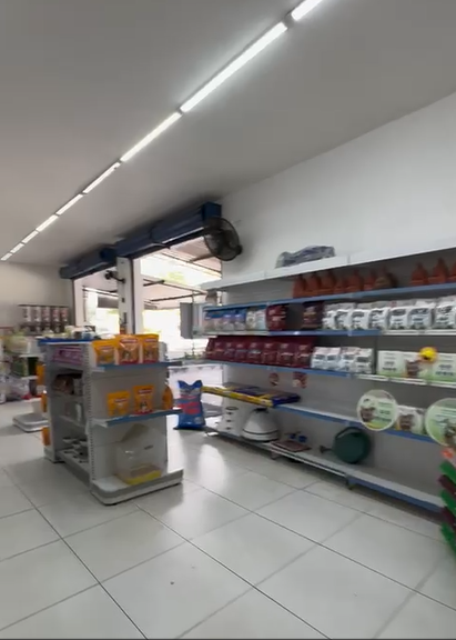 Prédio Inteiro para alugar, 290m² - Foto 14