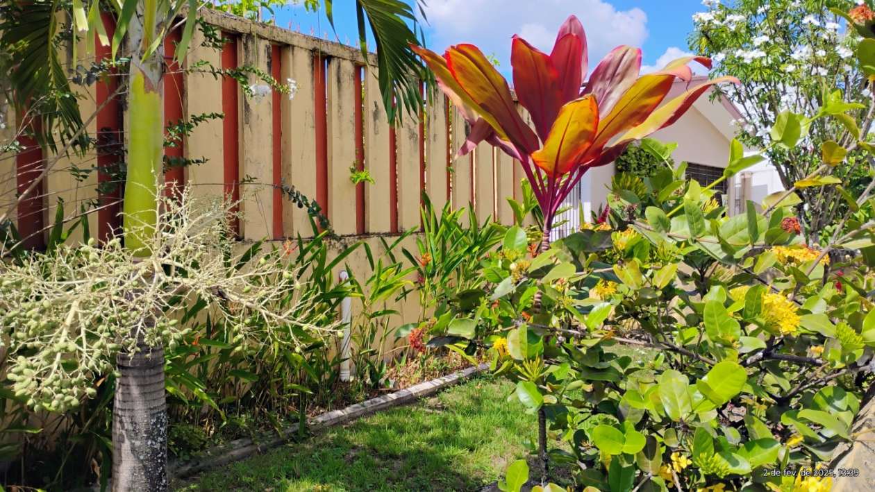 Casa, 3 quartos, 360 m² - Foto 14