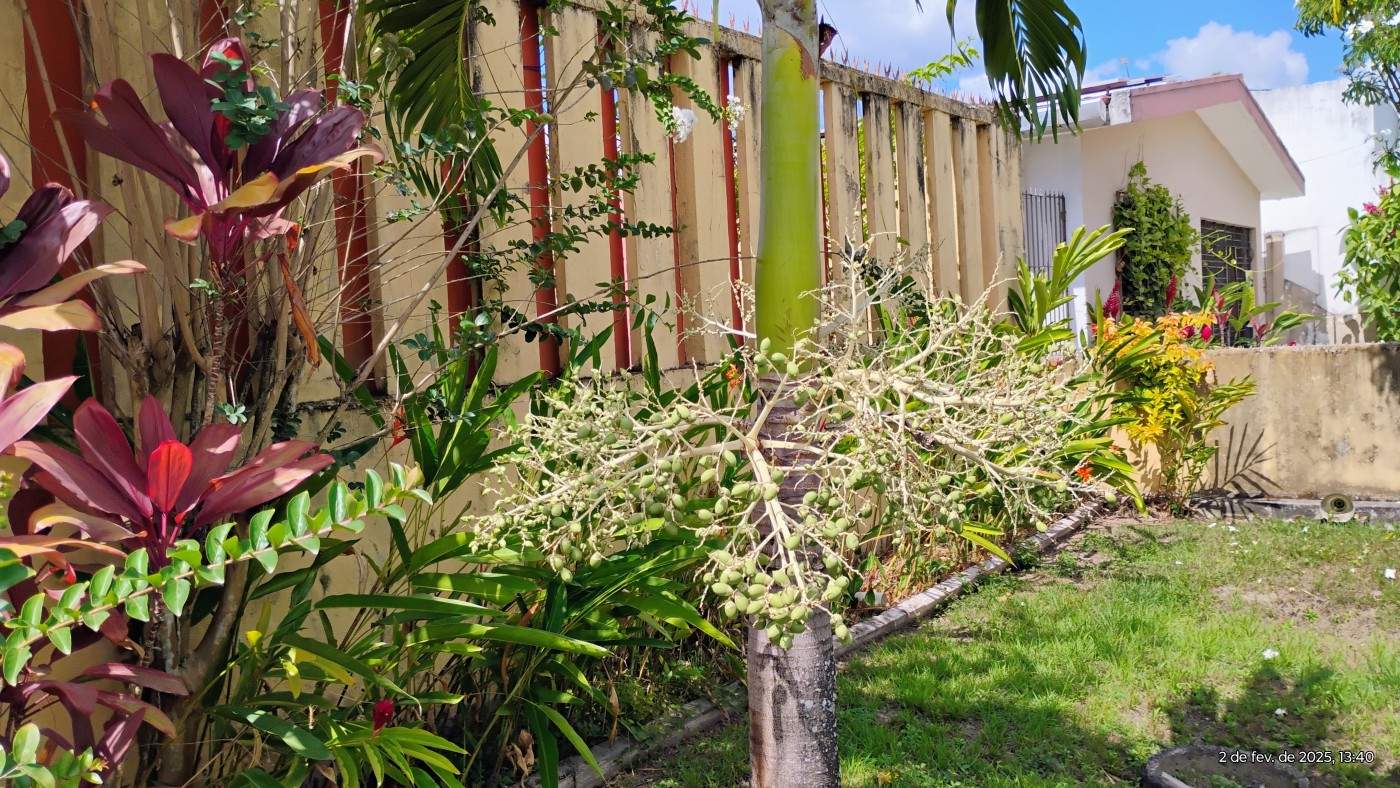 Casa, 3 quartos, 360 m² - Foto 19