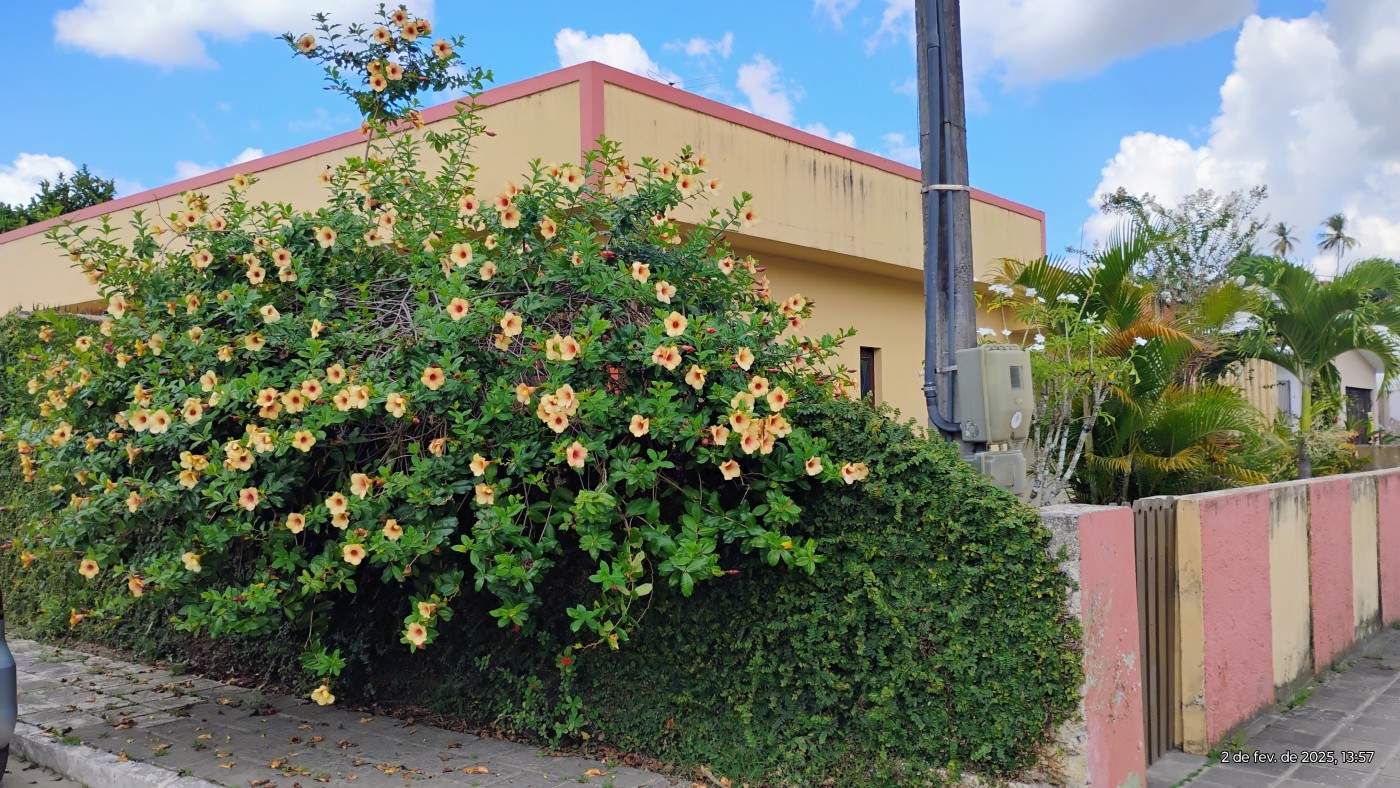 Casa, 3 quartos, 360 m² - Foto 23