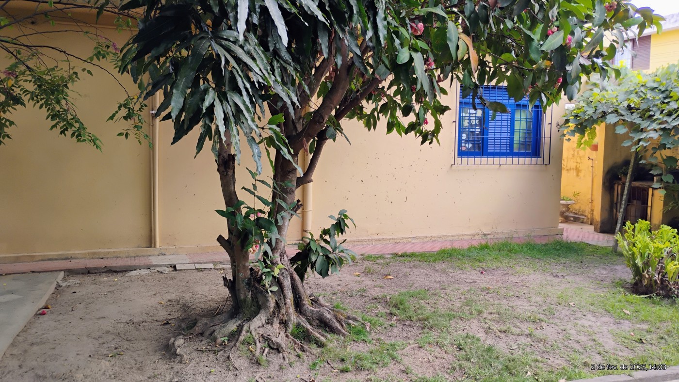 Casa, 3 quartos, 360 m² - Foto 40