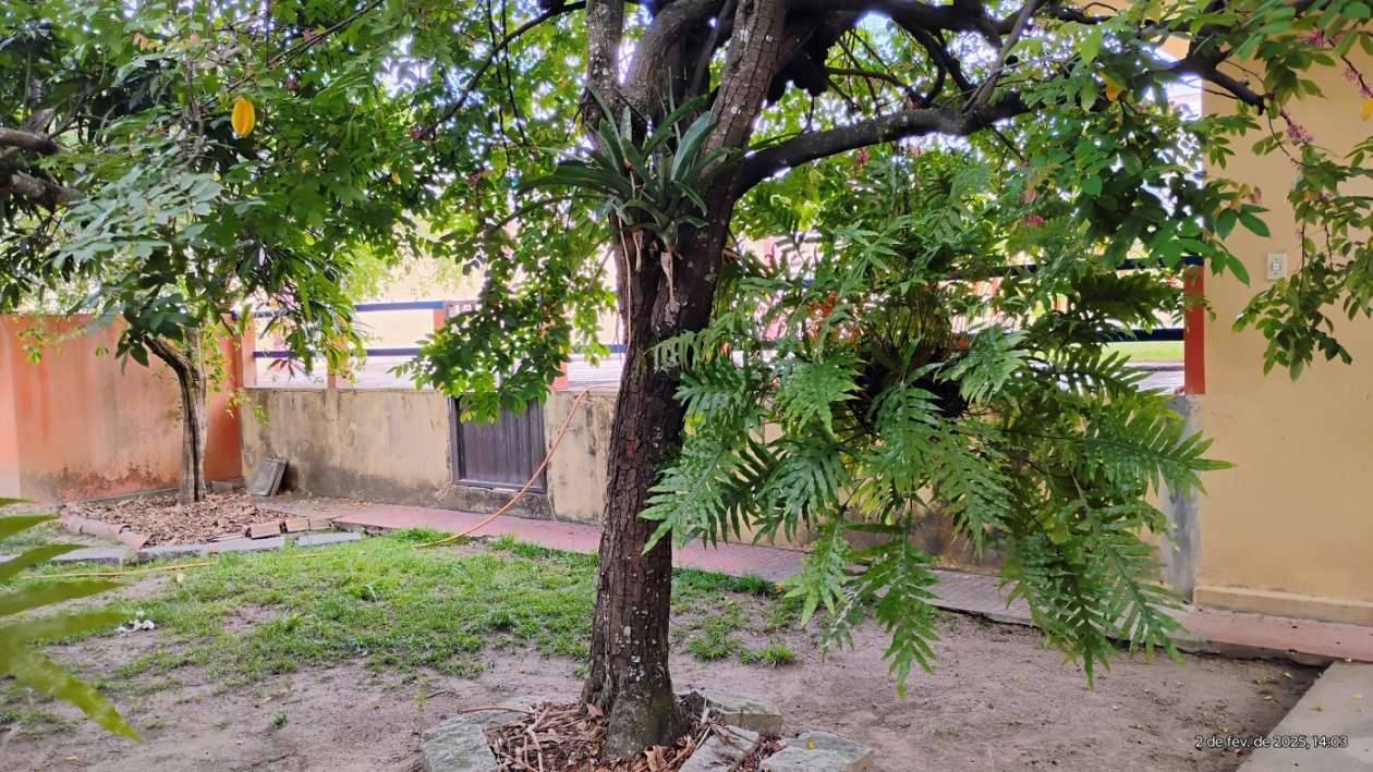 Casa, 3 quartos, 360 m² - Foto 41