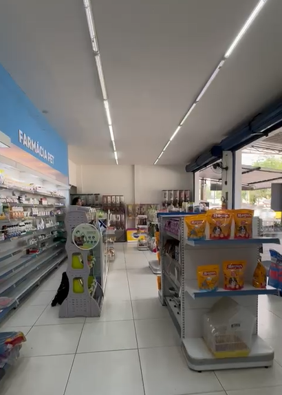 Prédio Inteiro, 290 m² - Foto 13