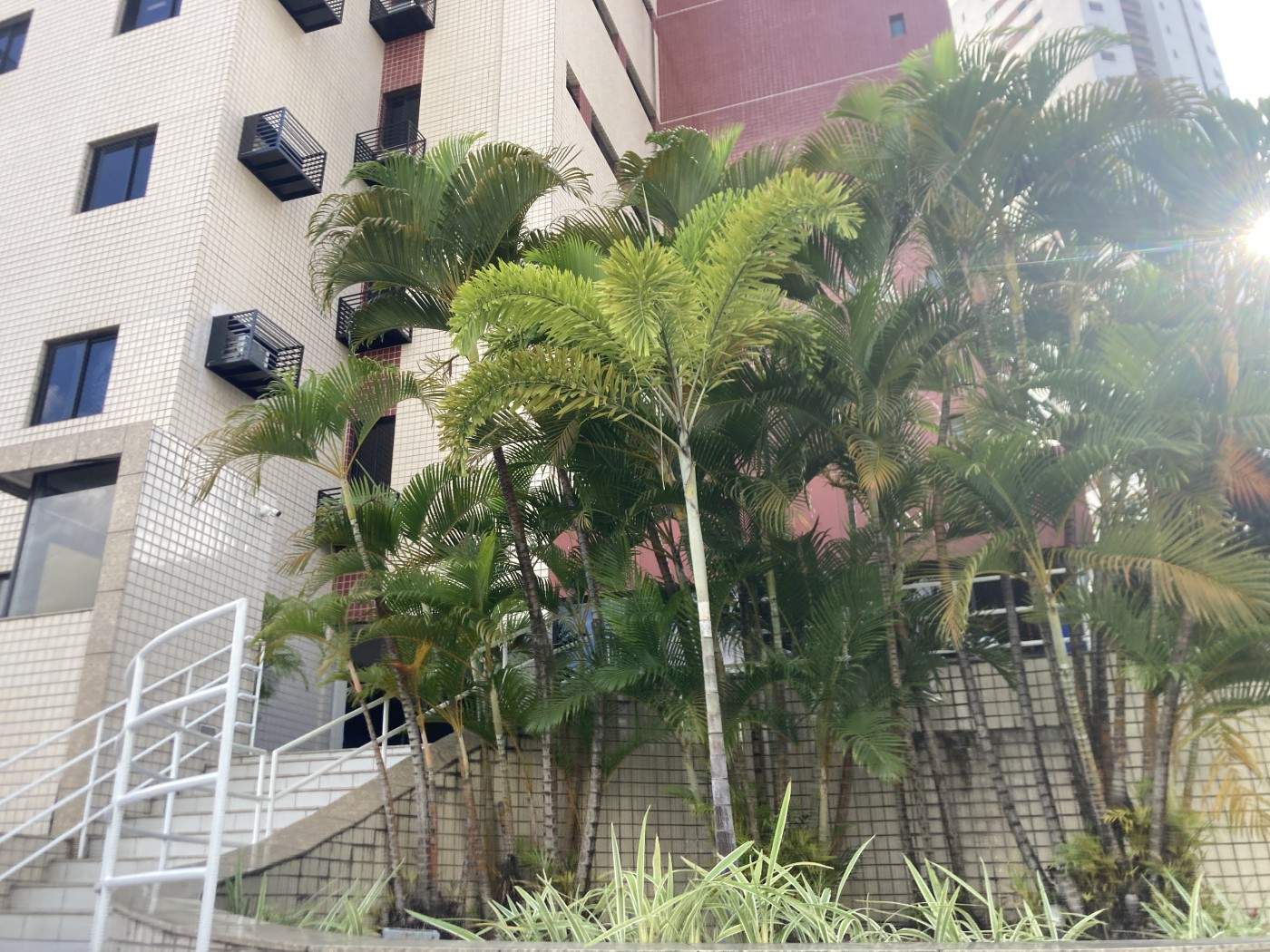 Apartamento, 3 quartos, 93 m² - Foto 30