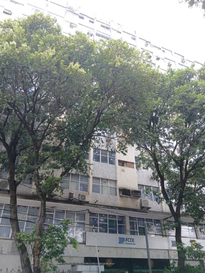 Apartamento, 44 m² - Foto 3