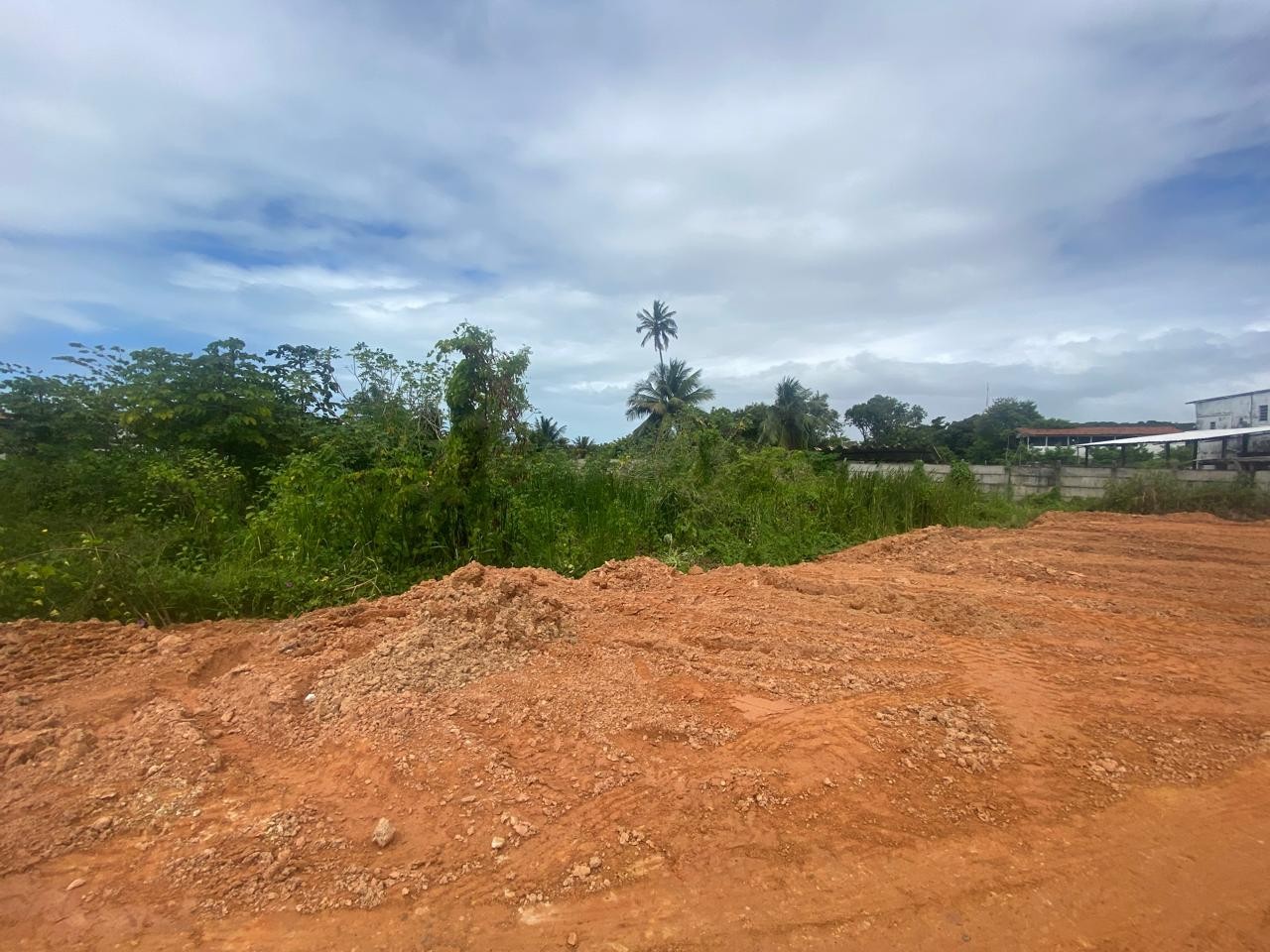 Terreno, 2 hectares - Foto 15